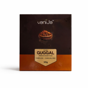 Vanija Guggal Dhoop
